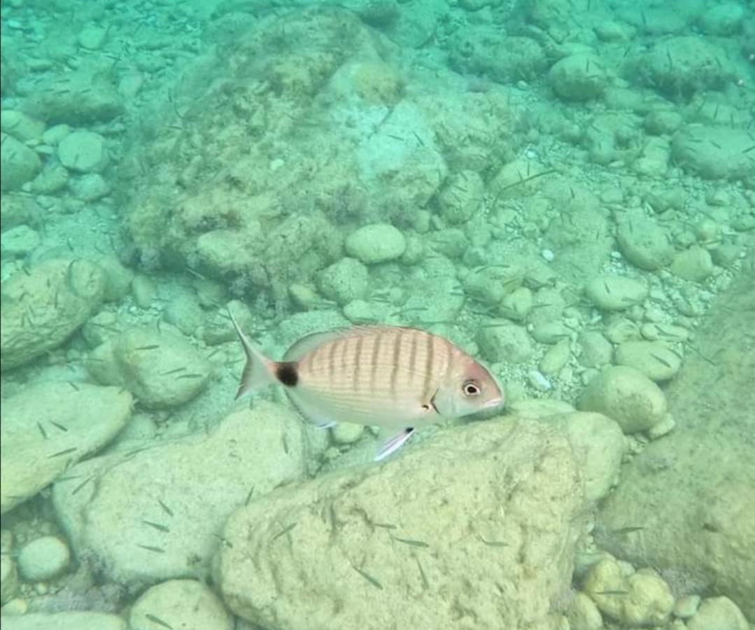 פנוסה Villa Per Vacanze Isola מראה חיצוני תמונה